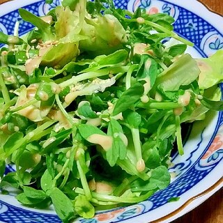 豆苗とレタスのサラダ